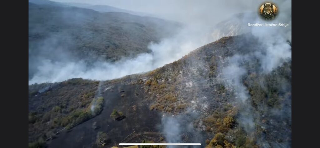 Wildfire in Homolje; Source: Printscreen, Rendžeri istočne Srbije Facebook page