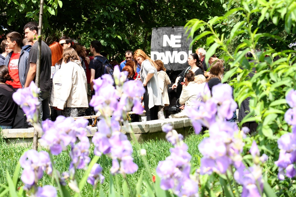 Foto: Marko Miletić