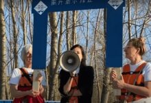 „Cirkus zvani most bez dozvole“: performans protiv kriminalne izgradnje mosta u Novom Sadu