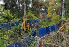 Ministarstvo: Završetak radova na mostu kod Šodroša do kraja 2027. godine i nema uklanjanja zelenila eko front ns buldozer sodros dnevna