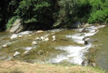 Građani će protestovati ispred opštine Vlasotince zbog ubijanja reke iz koje se snabdeva 15.000 ljudi