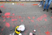 photo_2024-11-03_12-39-07