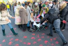 photo_2024-11-17_12-46-28