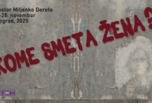 Konferencija "Kome smeta žena"