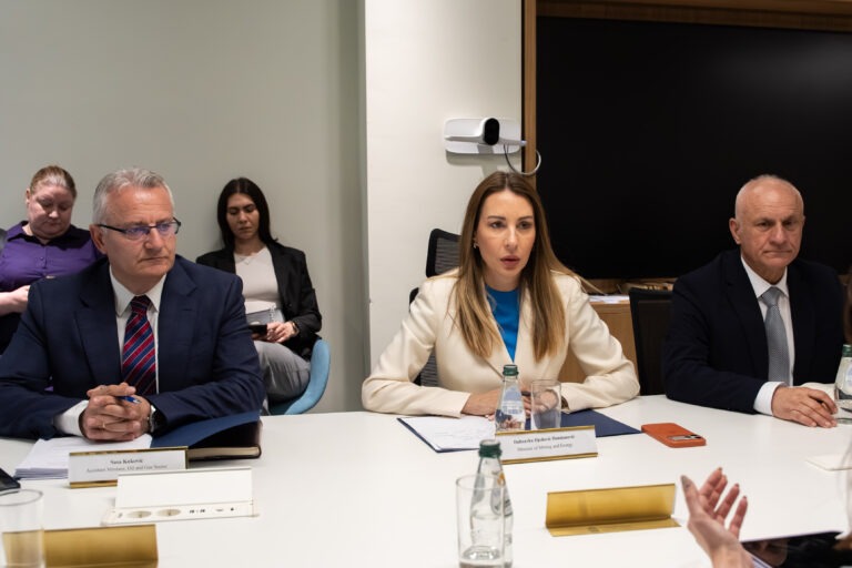 dubravka đedović handanović