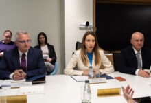 dubravka đedović handanović