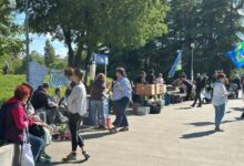 Zborovi u parku Ušće 1. maja; Foto: Mašina