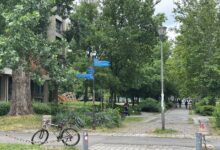 Više od 1500 studenata u Novom Sadu traži da ne bude iseljeno iz domova tokom leta photo_2026-06-04 11.14.29