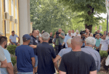 Malinari iz Arilja traže bolju otkupnu cenu, zahtevaju sastanak sa ministrom image