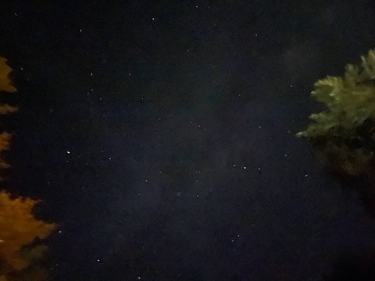 Noćno nebo