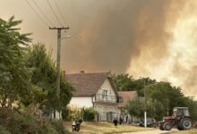 Požari i dalje aktivni širom zemlje, VJT apeluje na javnost da ne podleže uticaju lažnih vesti Požar