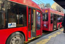 Saobraćaj u Beogradu, trolejbusi