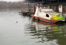 Dunav