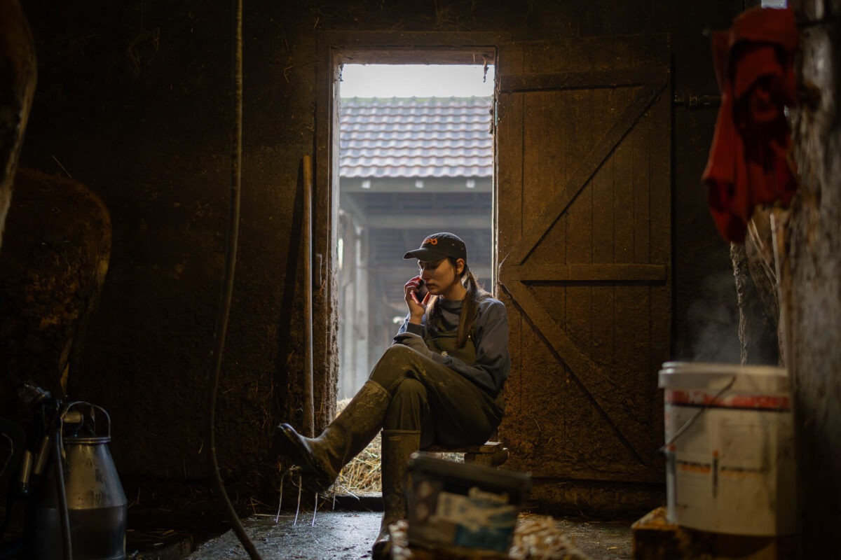 Početak radnog dana na gazdinstvu porodice Kokanović