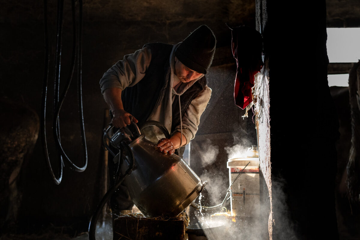 Početak radnog dana na gazdinstvu porodice Kokanović