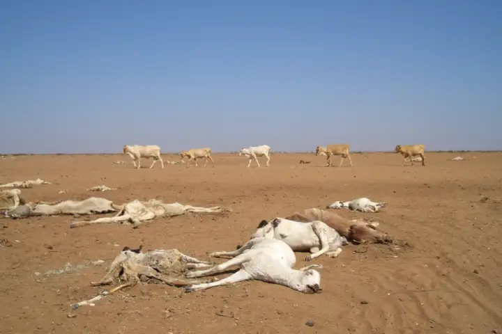 Migracije zbog klimatskih promena