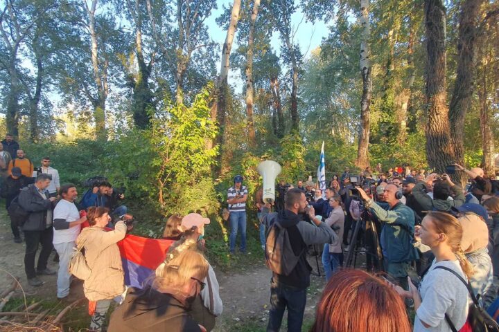 Šodroš, Novi Sad, 2022. godine; Foto: Mašina