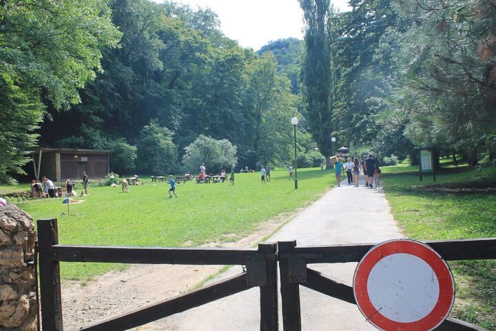 Zašto gori Fruška gora?