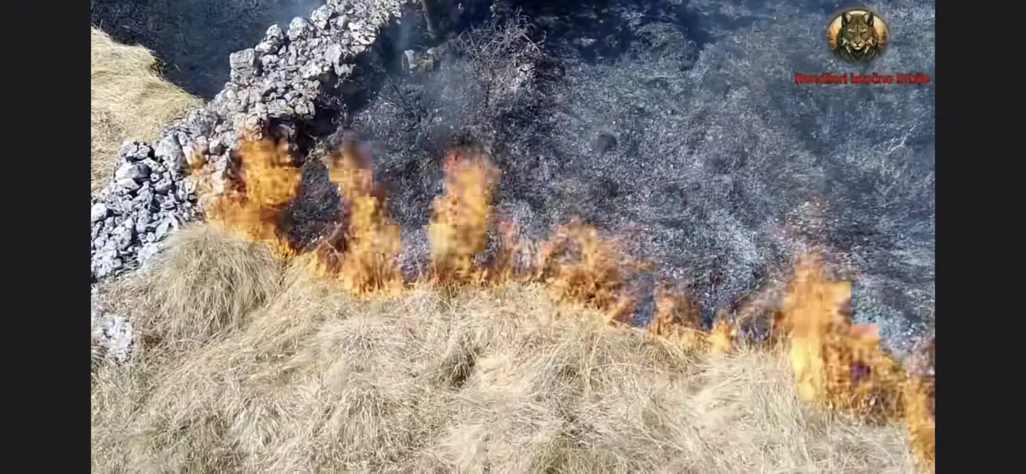 Požar u Homolju; Foto: Snimak ekrana/Fejsbuk/Rendžeri istočne Srbije