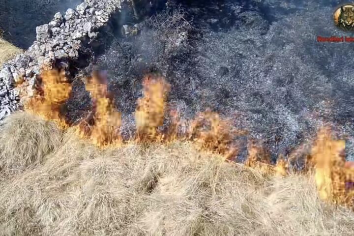 Požar u Homolju; Foto: Snimak ekrana/Fejsbuk/Rendžeri istočne Srbije