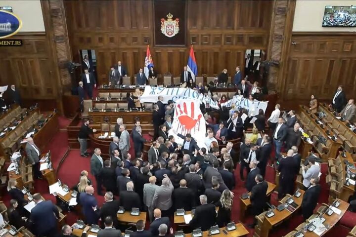 Foto: Snimak ekrana, Parlament Srbija Youtube