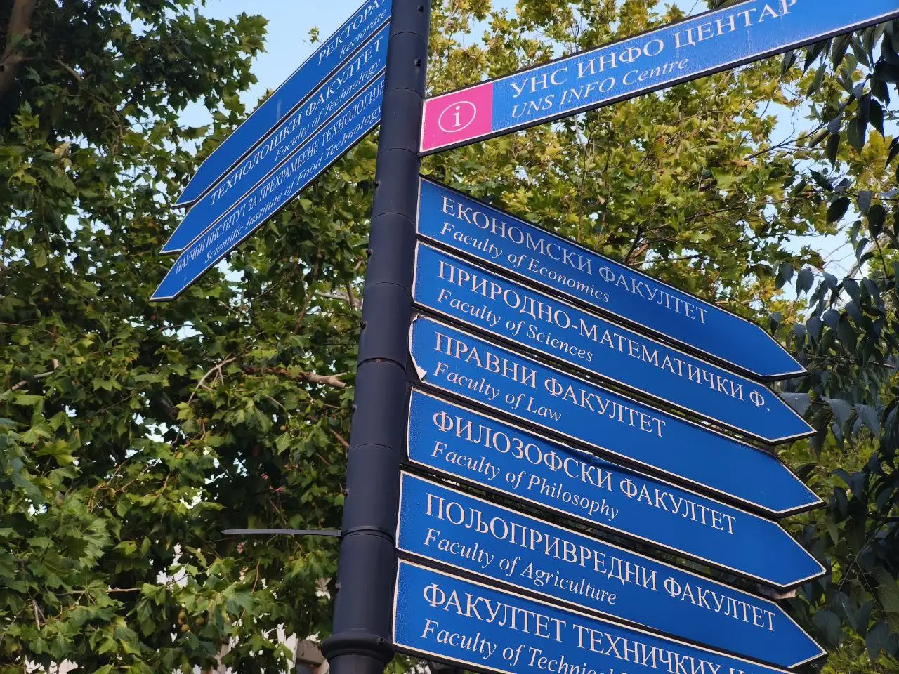Novi Sad, kampus Univerziteta
