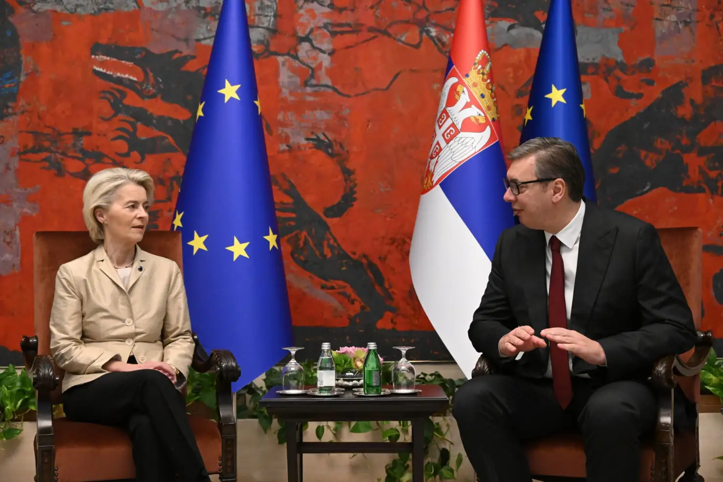 Fon der Lajen slike sa Mladićeve sahrane opisala kao šokantne