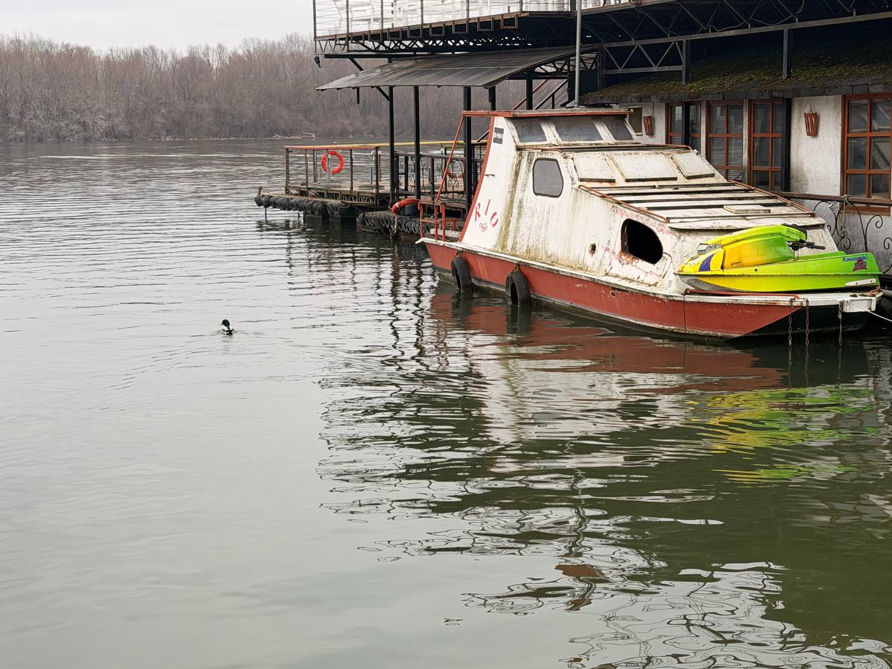 Dunav