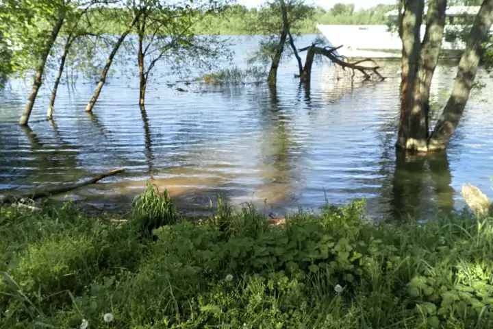 Dunav