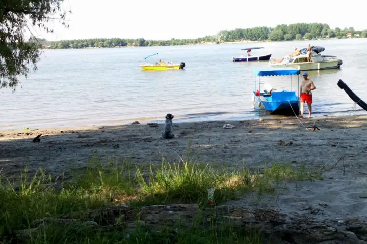 Dunav leti