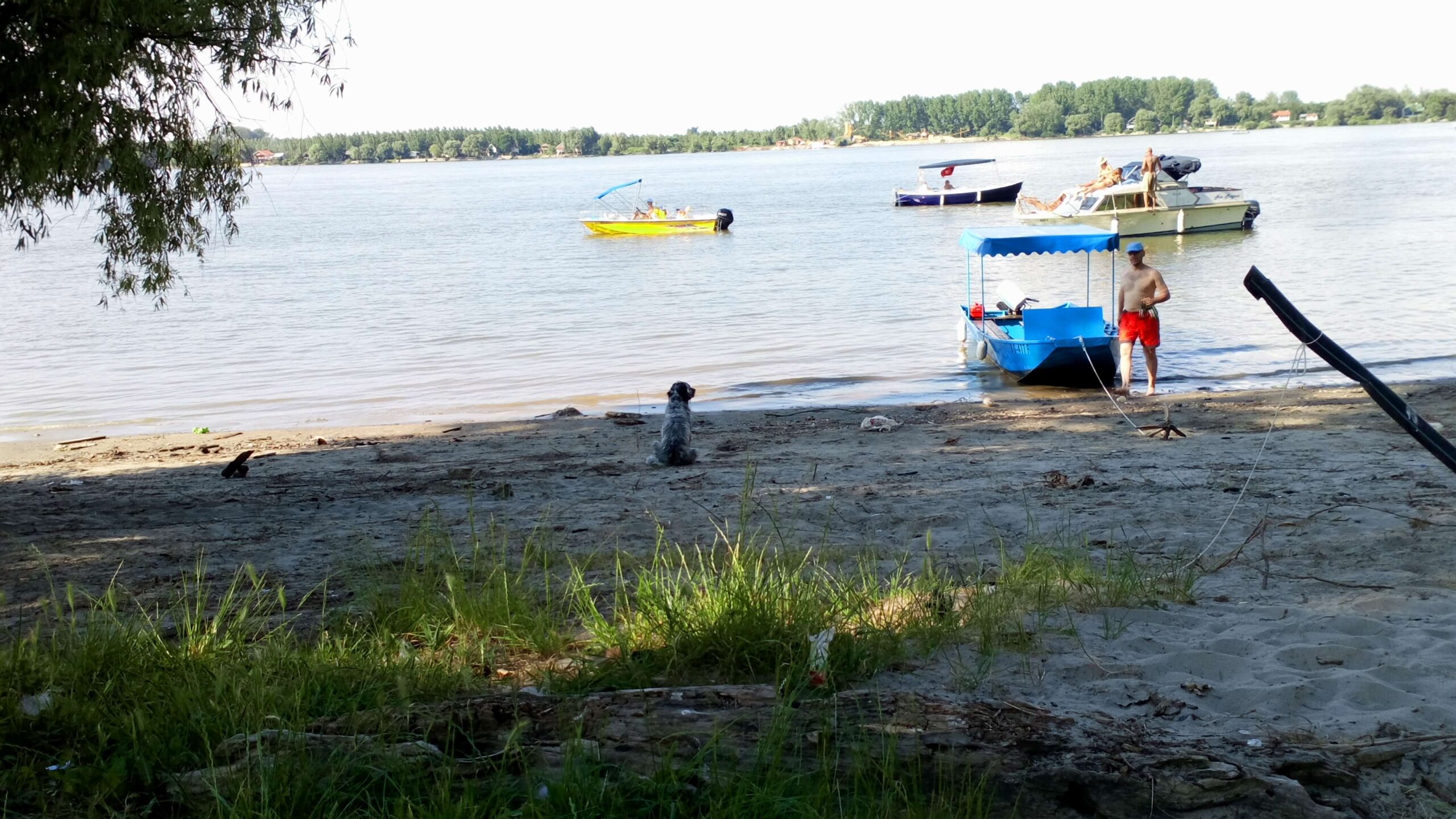 Dunav leti