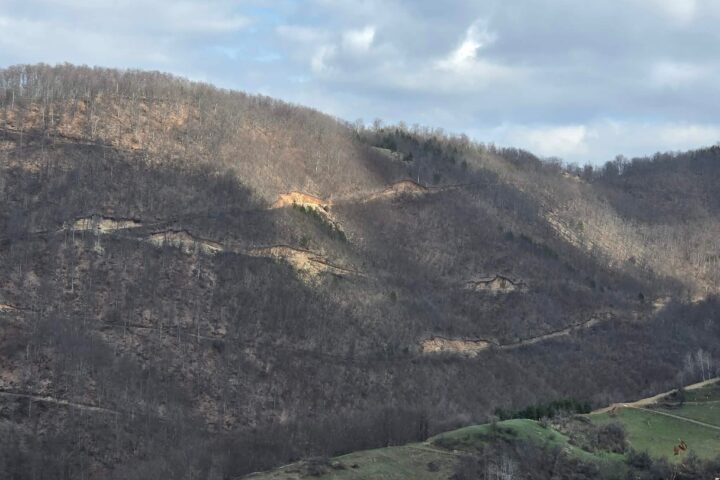 Rogozna