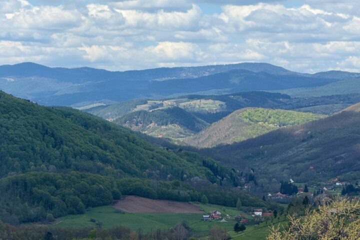 Pogled na Taru