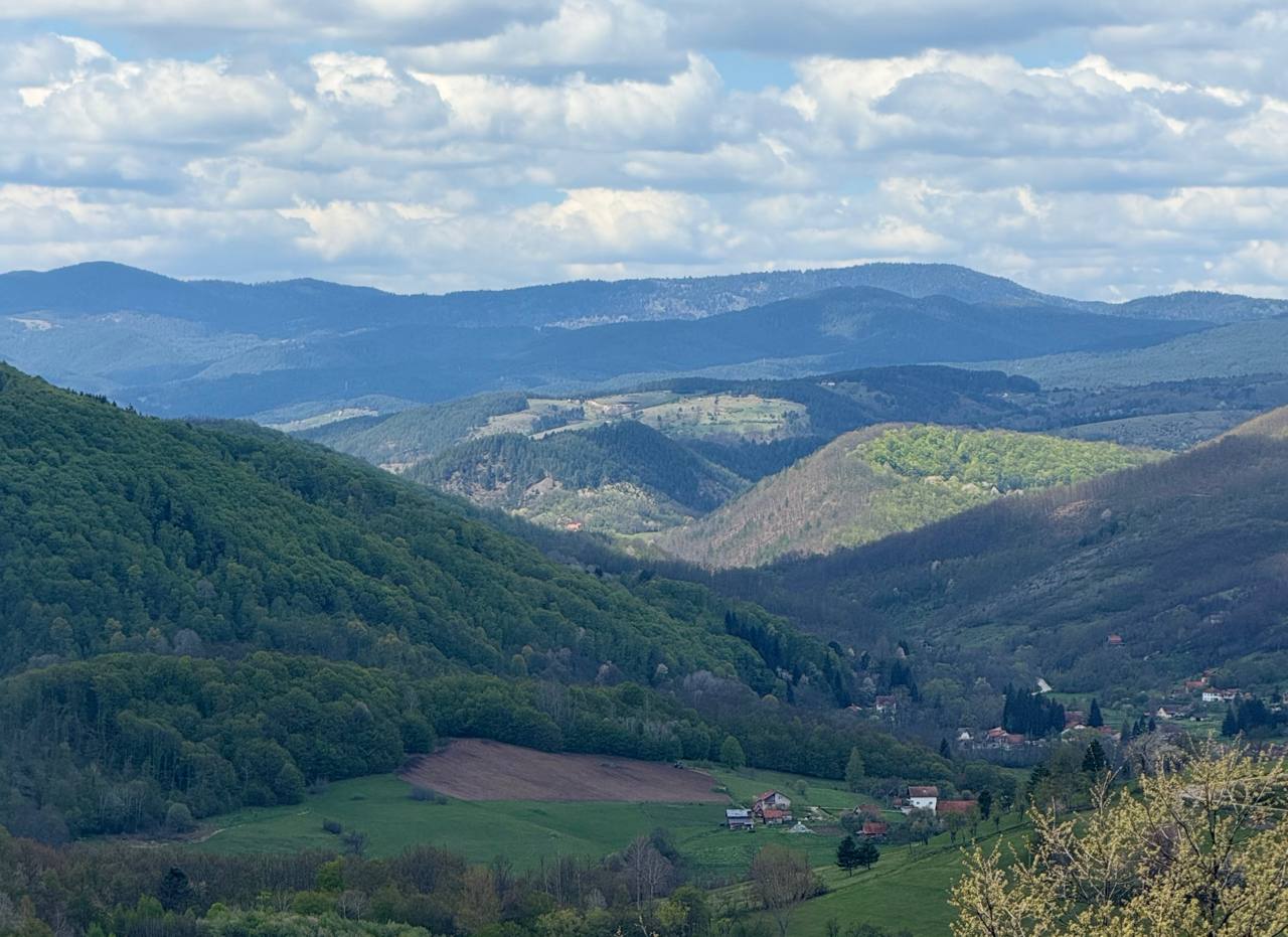 Pogled na Taru