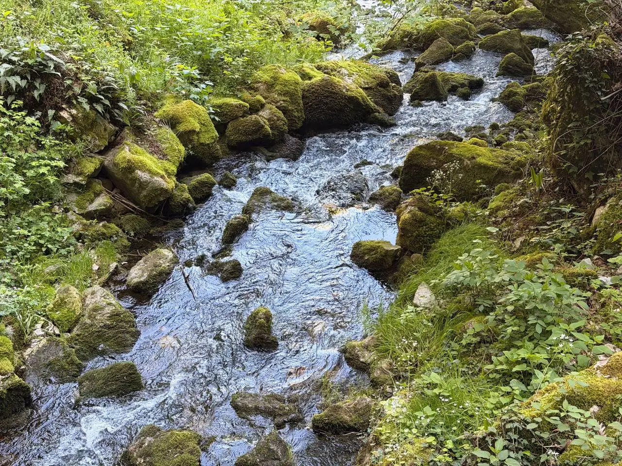 Ekološki ustanak i studenti u blokadi zalažu se da voda bude zakonski prepoznata i zaštićena