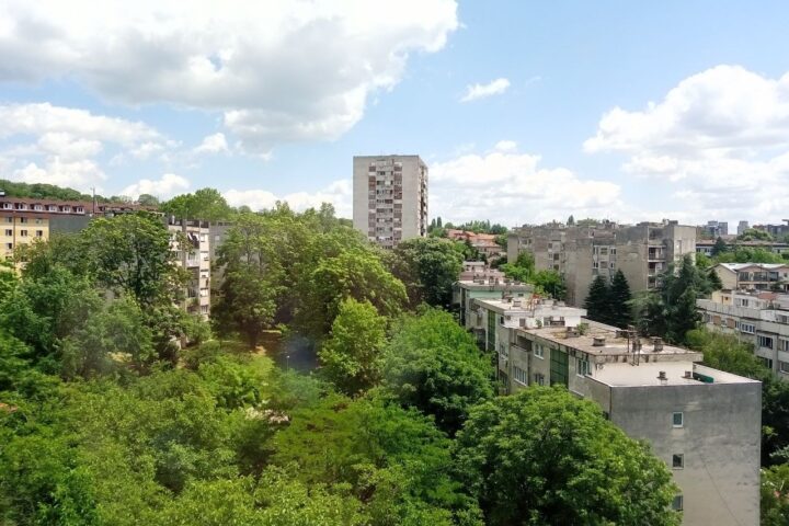 Zvezdarska šuma