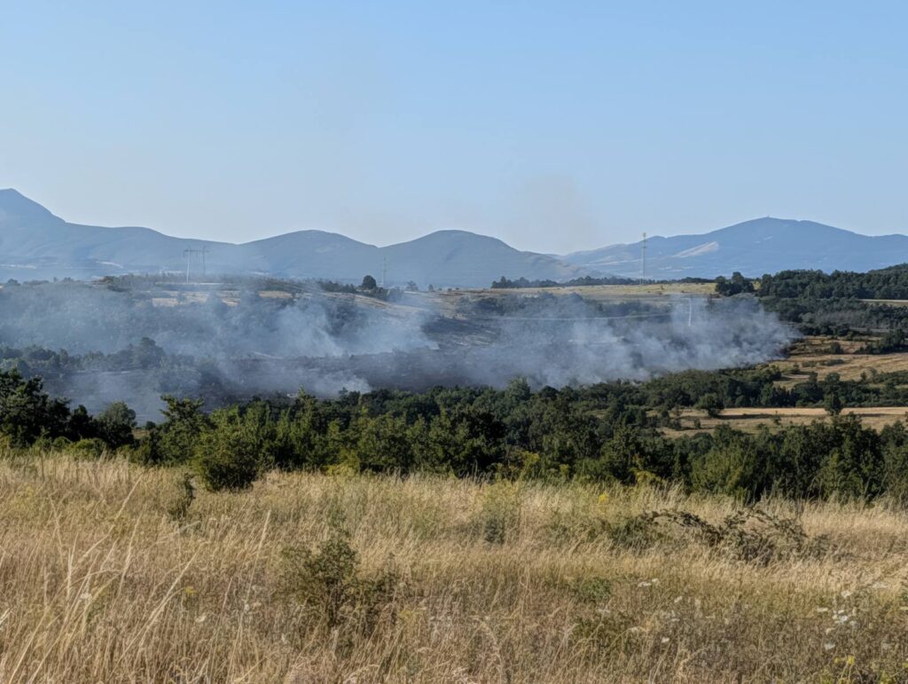 Aktivno 12 požara u Srbiji: U Deliblatskoj peščari preti košava