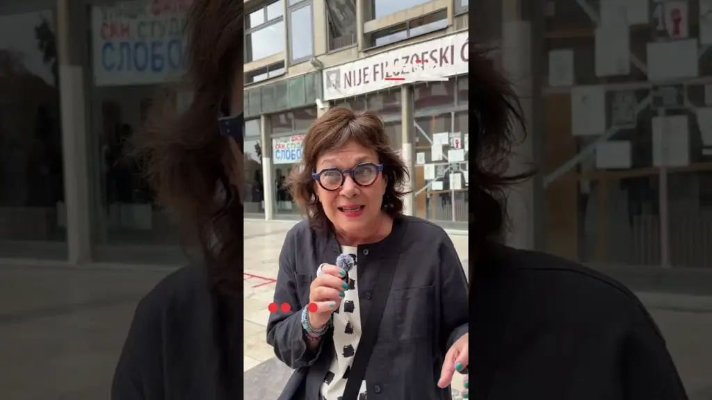 Dubravka Stojanović o pritiscima na Filozofski u Nišu