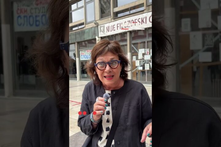 Dubravka Stojanović o pritiscima na Filozofski u Nišu